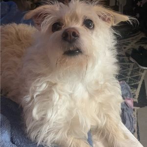 Meet your Posher, Danny